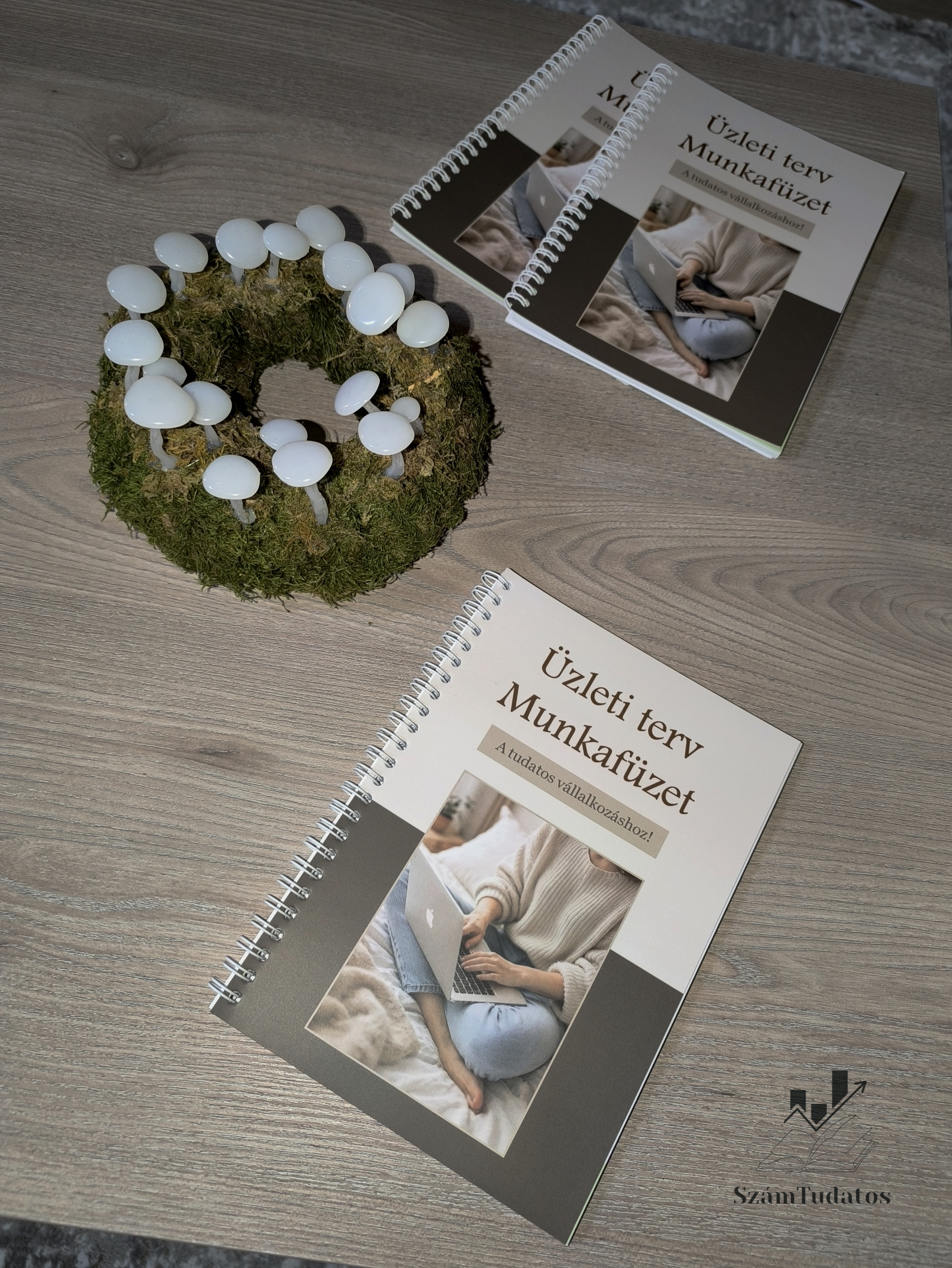 Üzleti terv munkafüzet 2