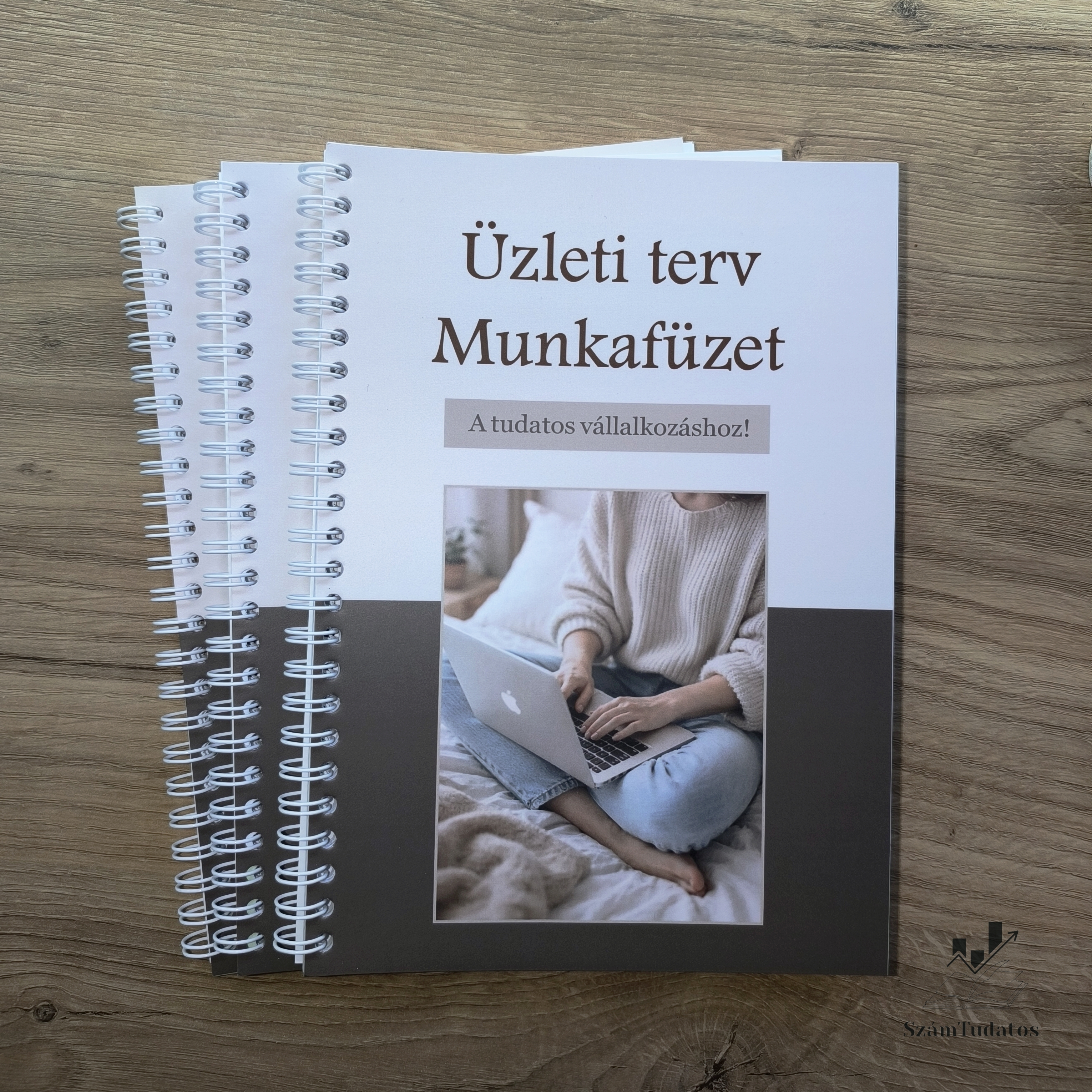 Üzleti terv munkafüzet